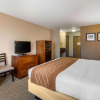 Отель Comfort Inn & Suites Murrieta Temecula Wine Country, фото 32