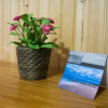 Отель GO4SURF Beach Lofts, фото 19
