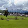 Отель Holidays in Green town Bakuruani #224_225, фото 6