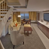 Отель DoubleTree by Hilton Little Rock, фото 7