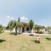 Отель Socrates Organic Village - Wild Olive, фото 23