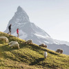 Отель Chalet Zermatt Peak, фото 12