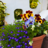Отель The Heidi Bed & Breakfast, фото 25