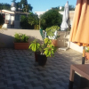 Отель Sunny Private First Floor 1-br Beach Apartment With Spacious Balcony, Pool, Wifi, фото 16