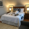 Отель Twin Maples Bed and Breakfast, фото 5