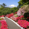 Отель Fuji Speedway Hotel - The Unbound Collection by Hyatt, фото 30
