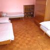 Отель Large Apartment in the heart of Slovácko, фото 2