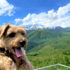 Отель Hakuba Powder Mountain, фото 27