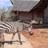 Отель Man Eaters Lodge, фото 10