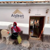 Отель Andean South, фото 17