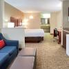 Отель Comfort Inn & Suites Sequoia/Kings Canyon, фото 15