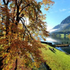 Отель Gasthaus Steegwirt, фото 11