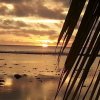 Отель Sunset Palms Rarotonga, фото 24