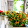 Отель Wehost Studio With Balcony, фото 9