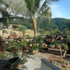 Отель Bamboo Cottage Langkawi, фото 8