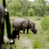 Отель Sanctuary-Chitwan National Park, фото 38