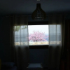 Отель Athena Charming apt with stunning view, фото 2