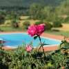 Отель Agriturismo Santa Lorica, фото 16