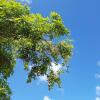 Отель Saipan Family Residence, фото 11