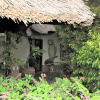 Отель Parrot Lodge, фото 13