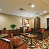 Отель Holiday Inn Express Hotel & Suites Kodak East - Sevierville, an IHG Hotel, фото 21