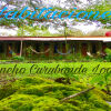 Отель Rancho Curubande Lodge, фото 6