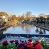 Отель Self-Contained Guest Suite In Dawlish, Devon, фото 15