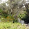 Отель Bickley Brook Cottage, фото 23