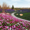 Отель YT Longhu Seaview Garden Holiday Villa, фото 8