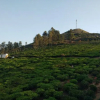 Отель Mithun Hill View, фото 17