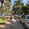 Отель Palm Garden House, фото 2
