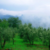 Отель Podere il Poggiolo, фото 13