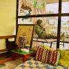Отель goStops Varanasi - Hostel, фото 14