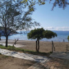 Отель Oasis - Close to Beach & Center - A1, фото 11