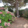Отель Le Mazet du Marechal Ferrant, фото 13
