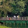 Отель Casa Rural La Matuca, Senda Del Oso, Asturias, фото 14