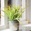 Отель Luxury Central Newcastle Apartment 20, фото 2
