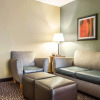 Отель Comfort Inn & Suites Kannapolis - Concord, фото 26