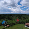 Отель Finca Ecoturistica La Argelia, фото 8