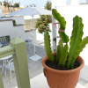 Отель Anthos Apartments Paros, фото 19