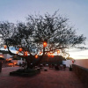 Отель Albor San Miguel de Allende, Tapestry Collection by Hilton, фото 46