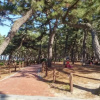 Отель Gangneung Karis Pension, фото 25
