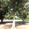 Отель Hacienda Cazadores, фото 9