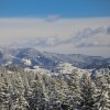 Отель Rivendell Apartments Sequoia Borovets, фото 1