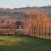 Отель Agriturismo Regina di fiori, фото 3