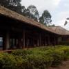 Отель Bwindi Forest Lodge, фото 9