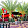 Отель Bedouin Garden Village, Hotel Dive, фото 19