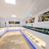 Отель THB Tropical Island Aparthotel, фото 14