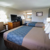 Отель University Inn & Suites San Antonio, фото 6