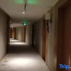 Отель Lax Hotel (Jintang Jinsha Park), фото 3